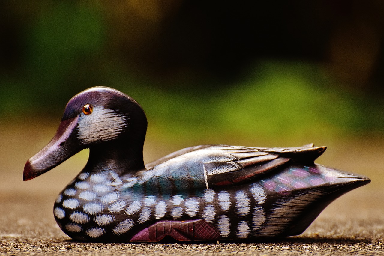 duck deco figure free photo