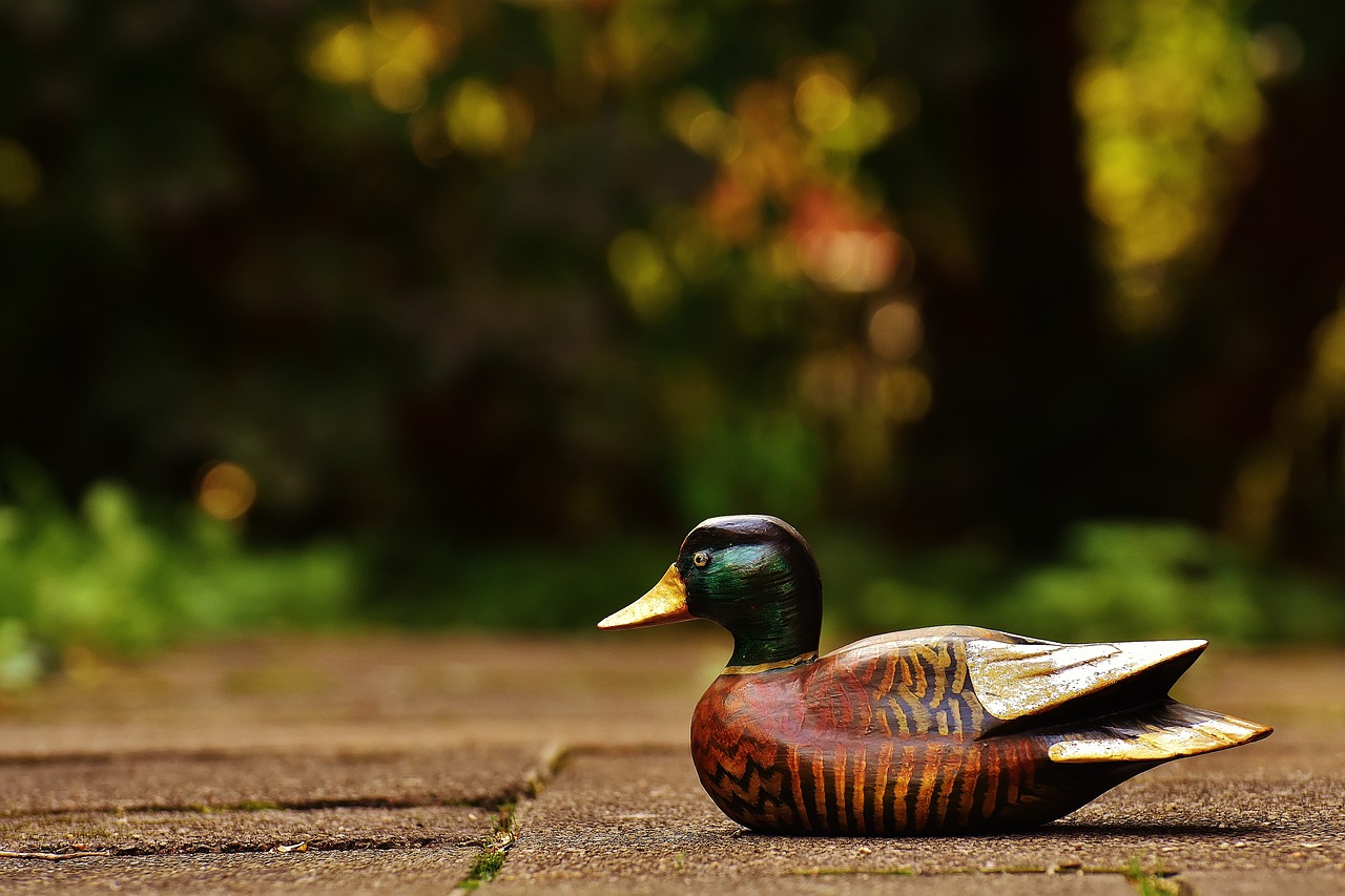 duck deco figure free photo