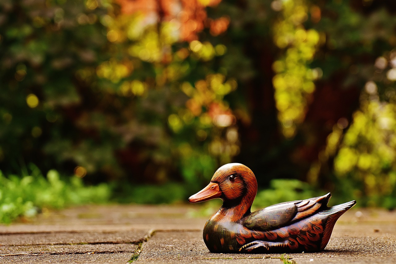 duck deco figure free photo