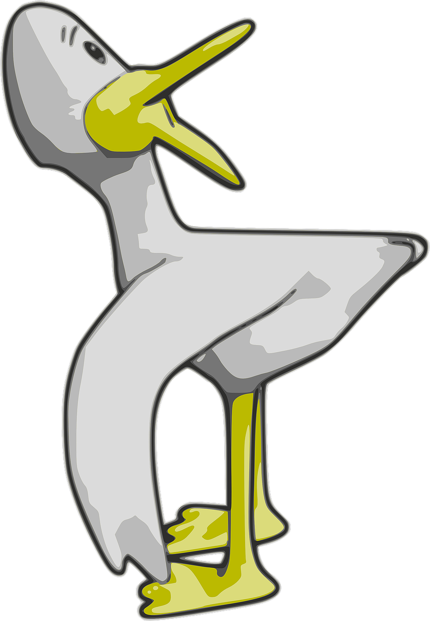 duck bird cartoon free photo