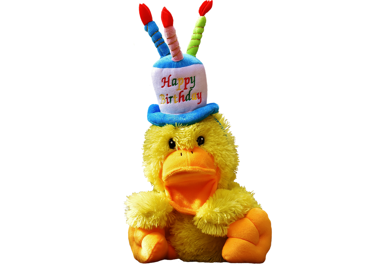 duck birthday happy birthday free photo