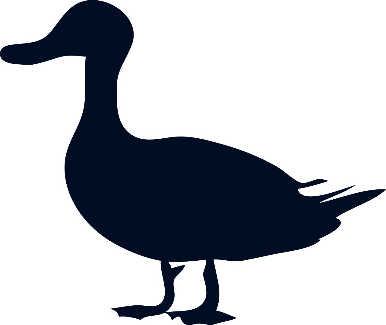 duck silhouette fowl free photo