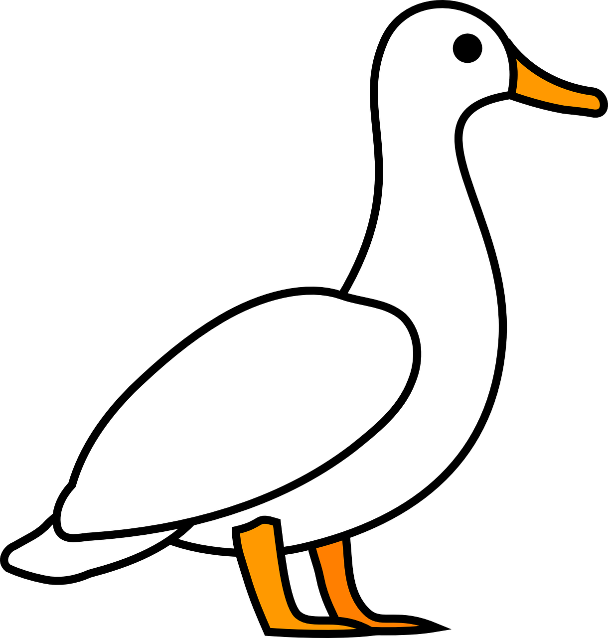 duck goose animal free photo