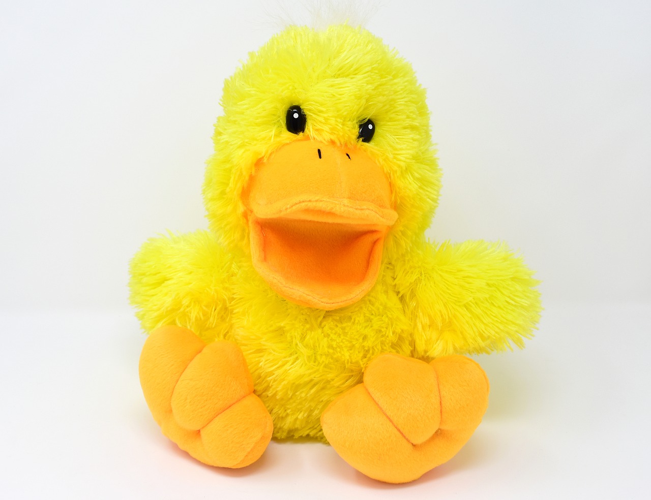 duck soft toy funny free photo