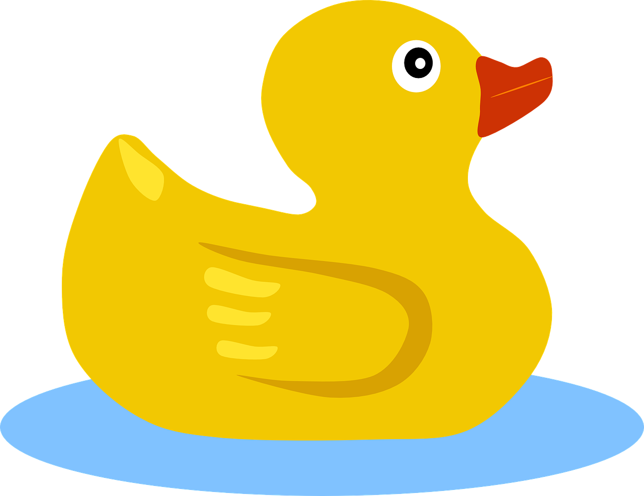 duck swimming yellow free photo