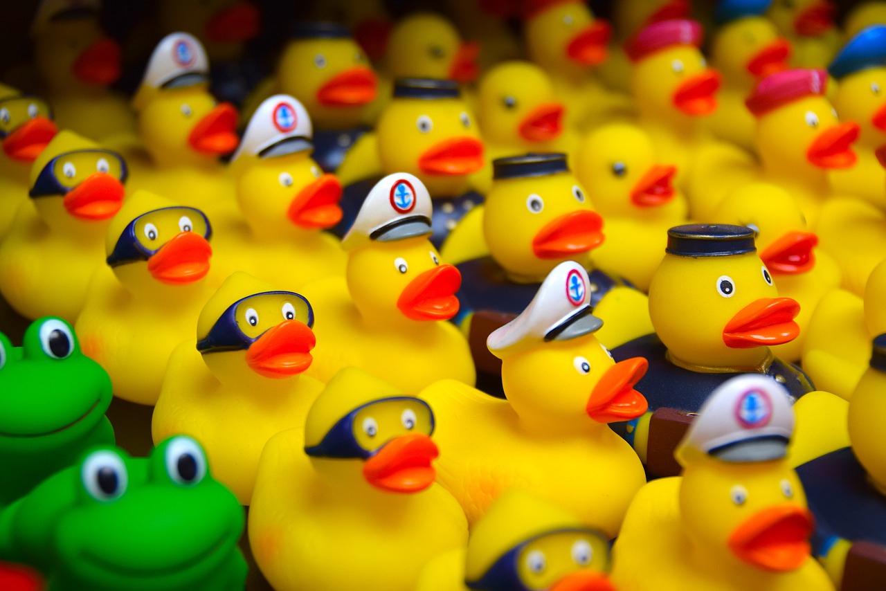 duck  bath duck  toys free photo