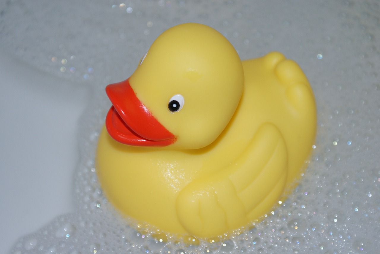 duck  bath  yellow free photo