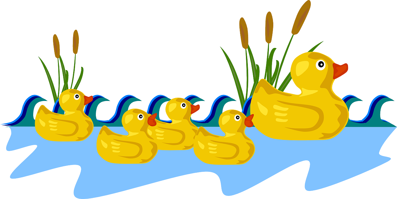 duck swimming toy free photo