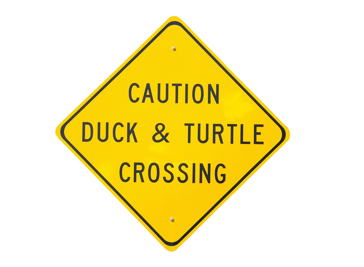duck and turtle crossing sign signage free photo