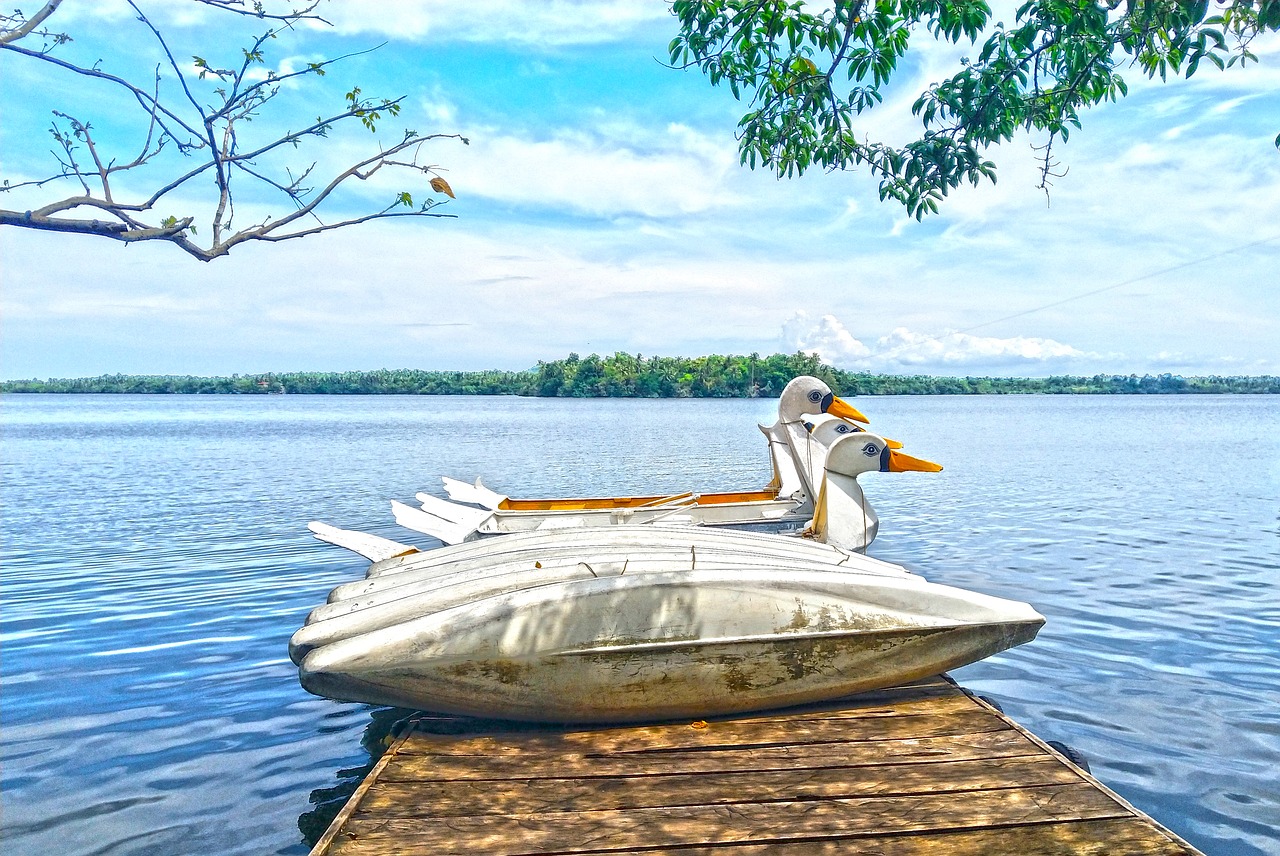 duck boat  park  lagoon free photo