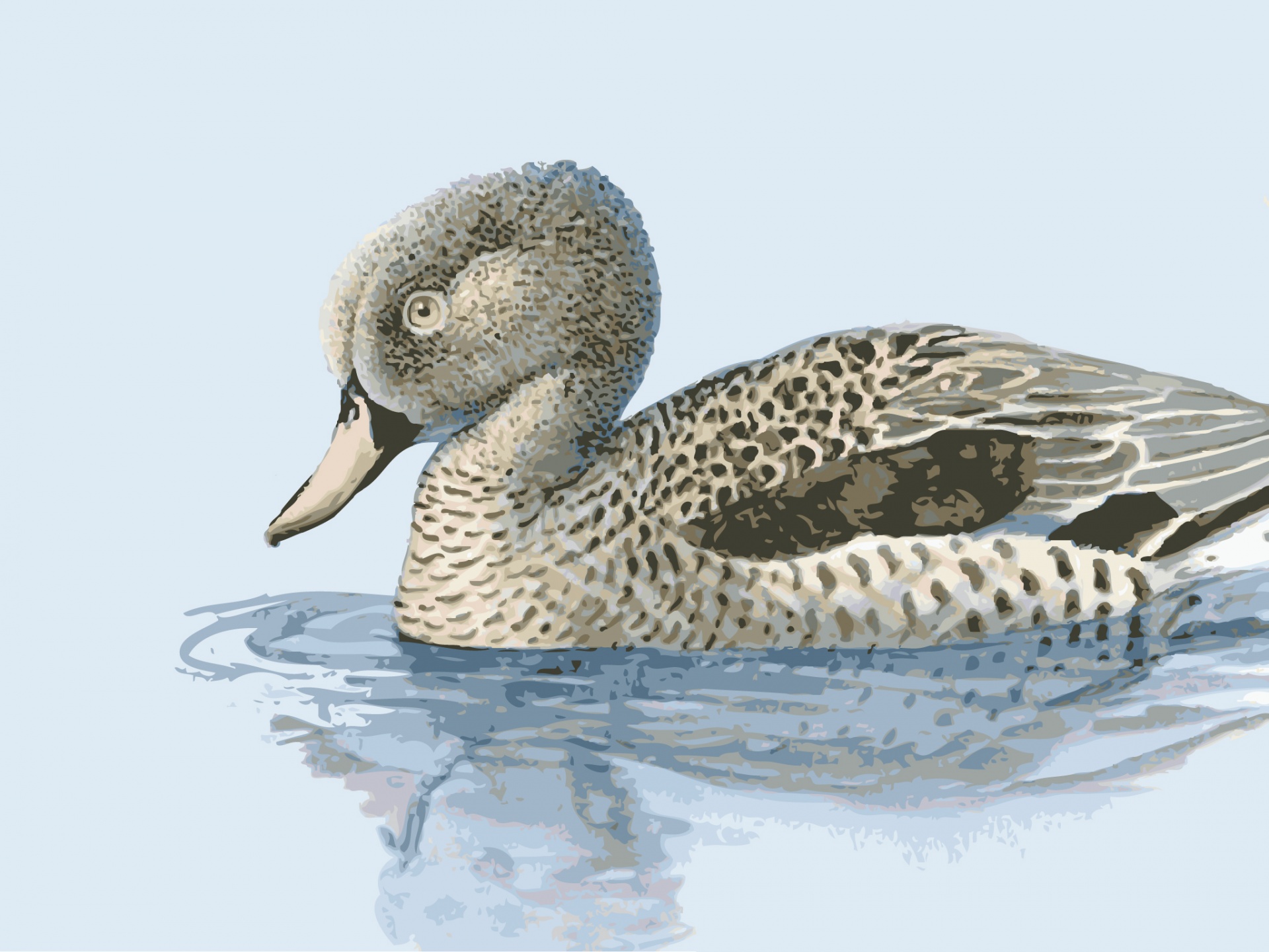 duck illustration painting free photo