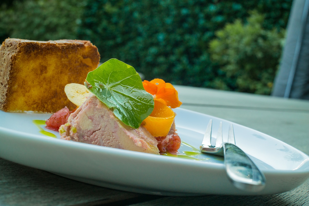 duck liver summer pate free photo