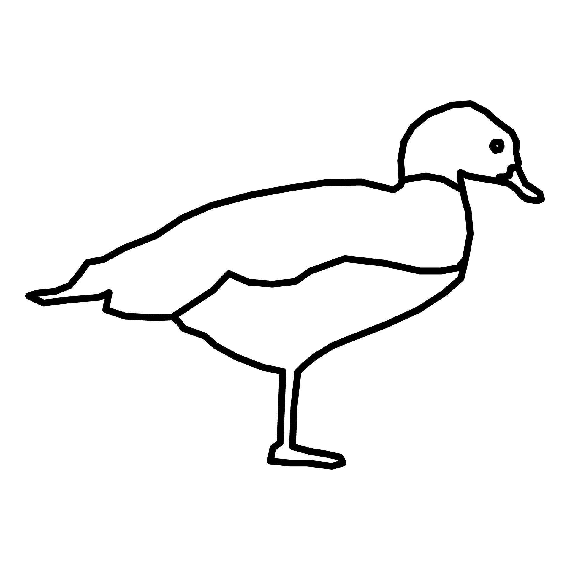 duck bird outline free photo