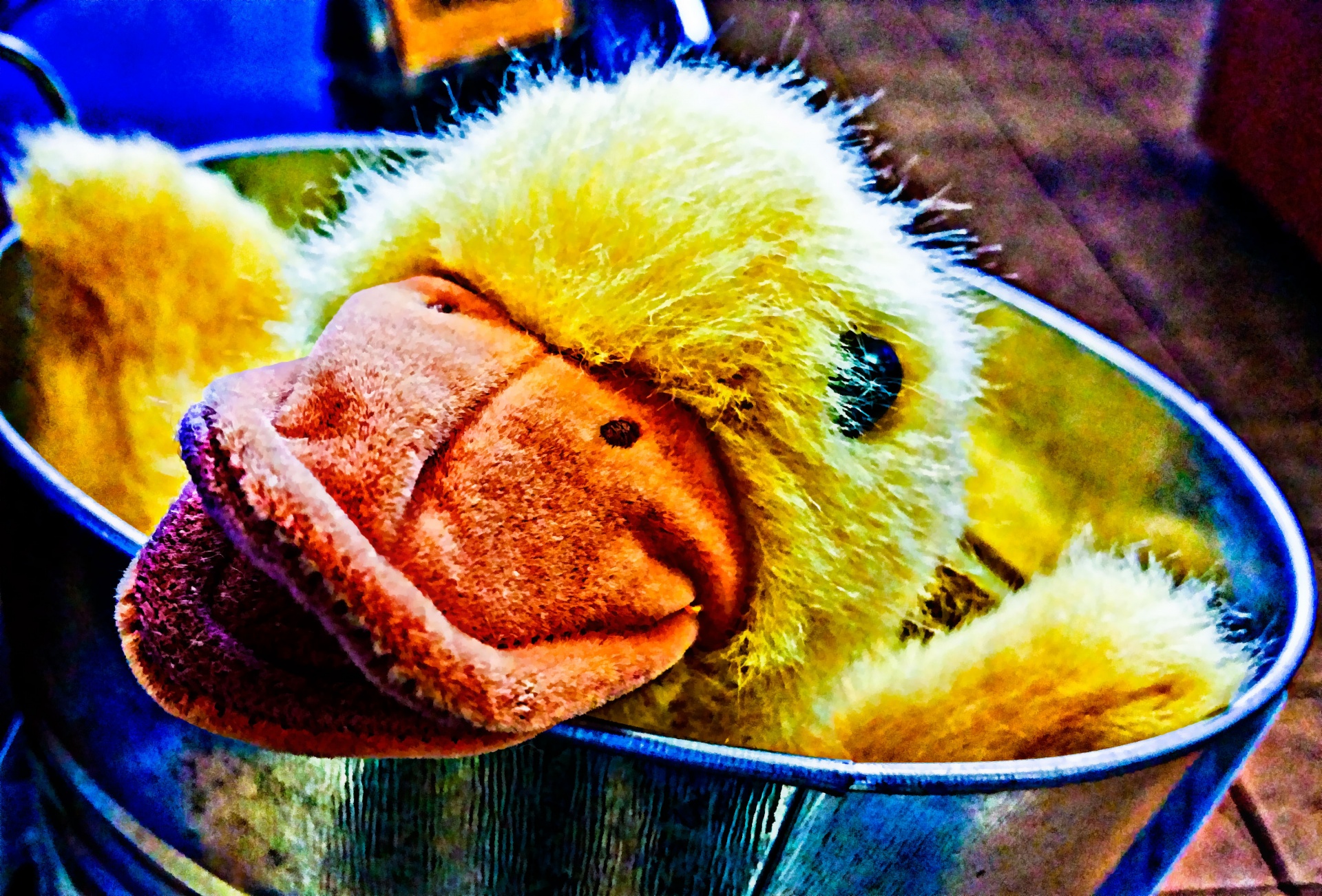 toy duck stuffed free photo