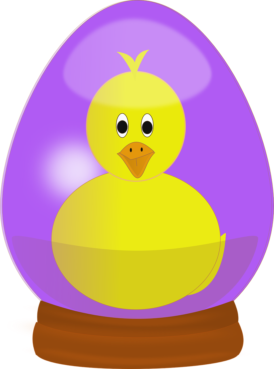 duckling chick easter free photo