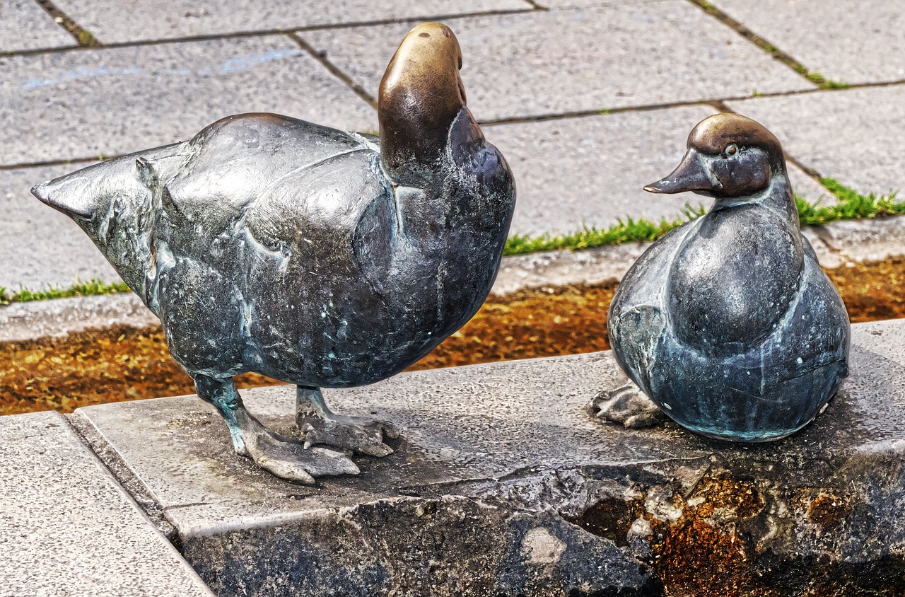 ducks bronze statue manneken free photo