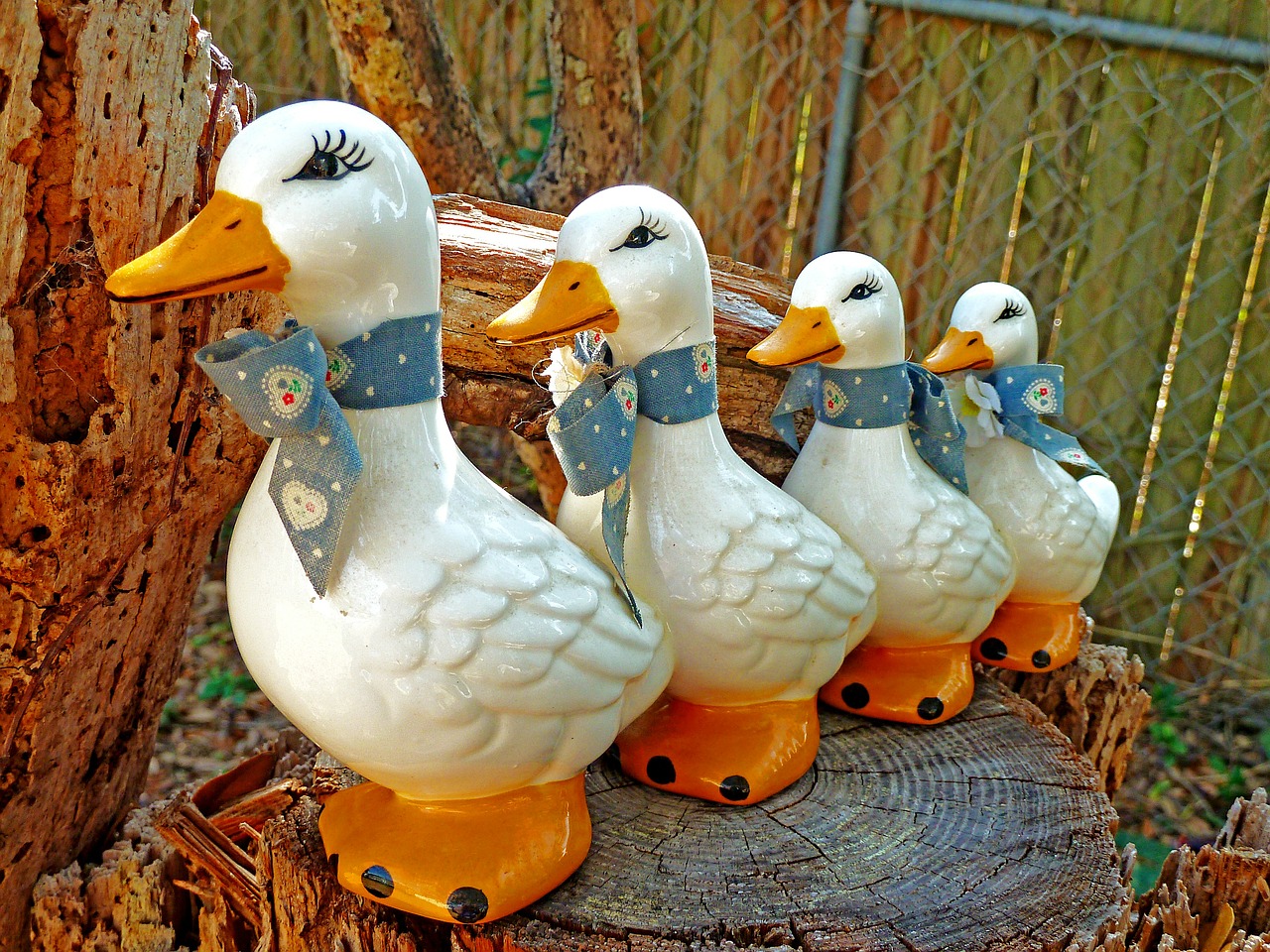 ducks ceramics figures free photo