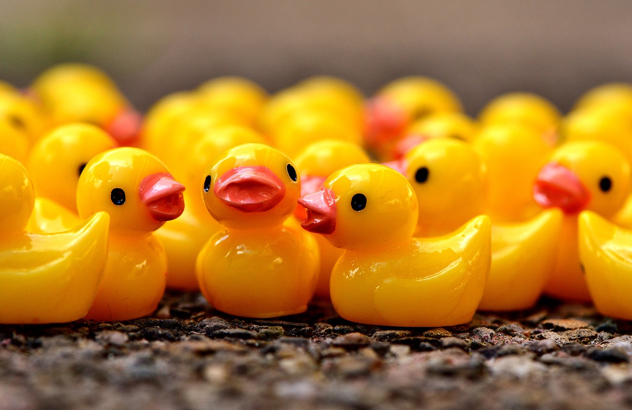 ducky figures cute free photo