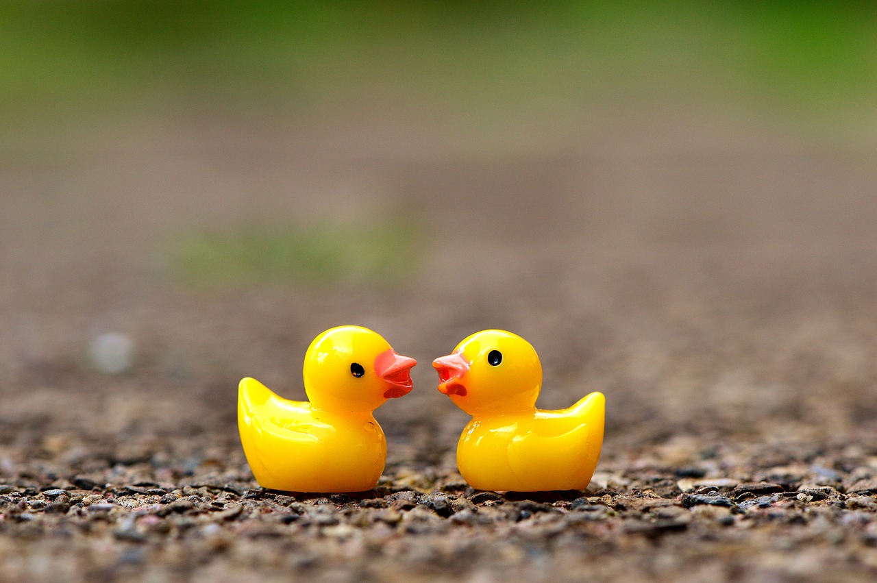ducky figures cute free photo