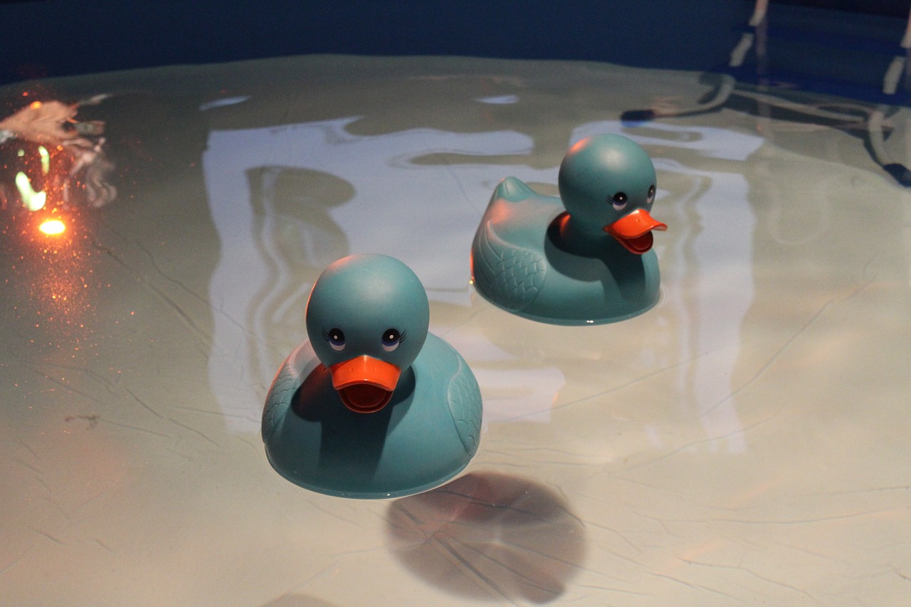 ducky rubber bath free photo