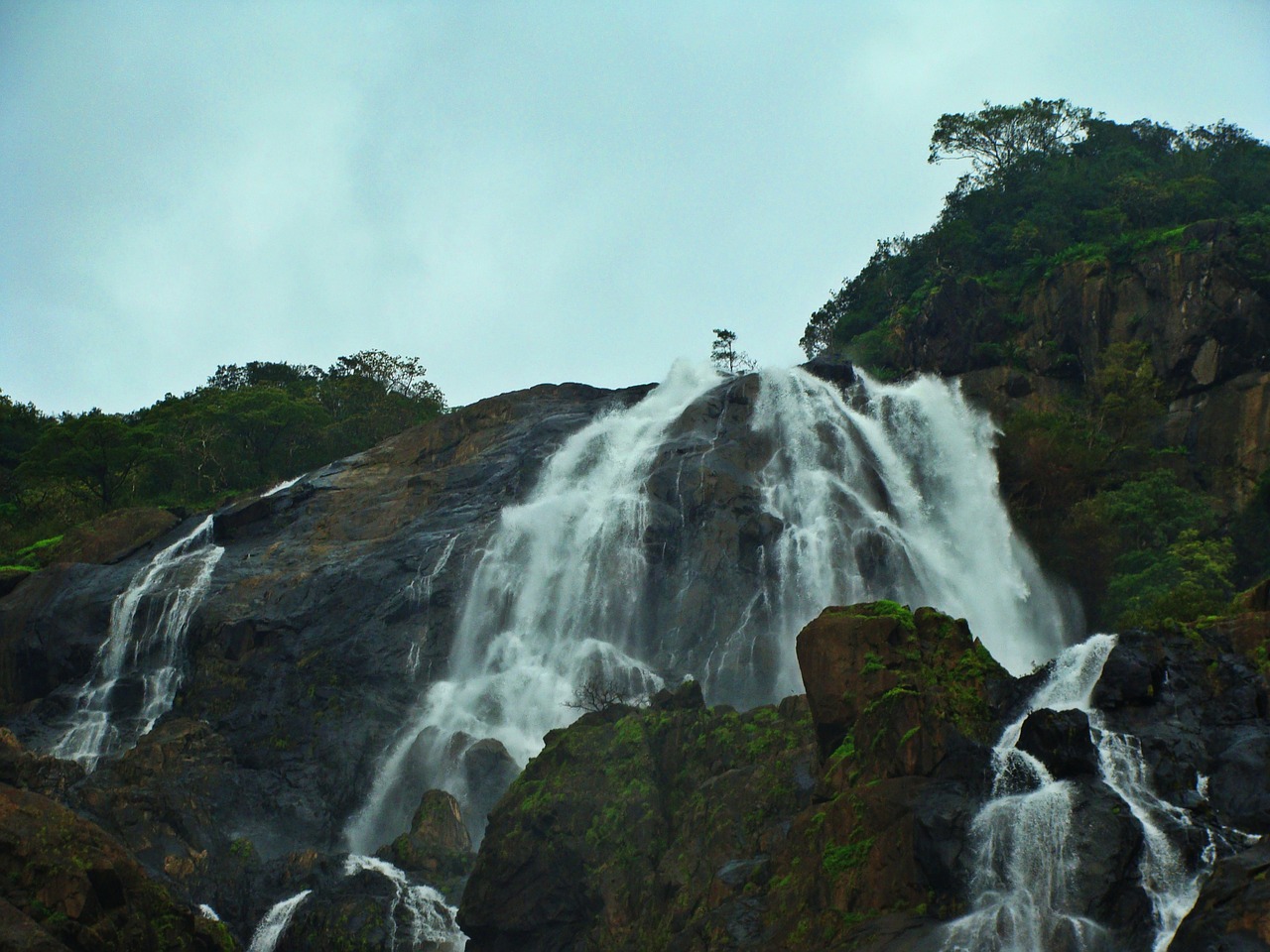 dudhsagar waterfall goa free photo