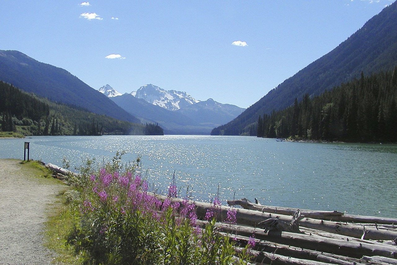 duffey lake british columbia canada free photo