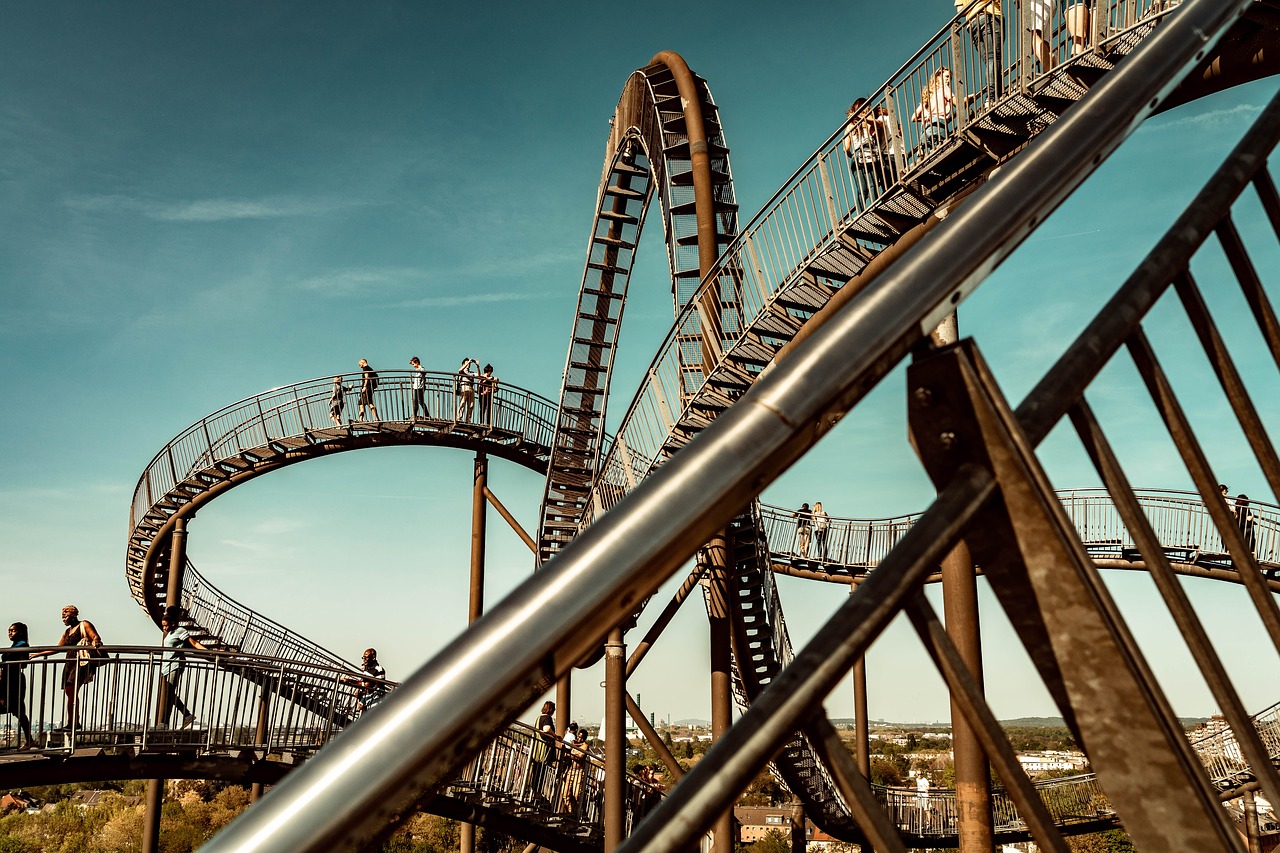 duisburg  tiger and turtle  people free photo