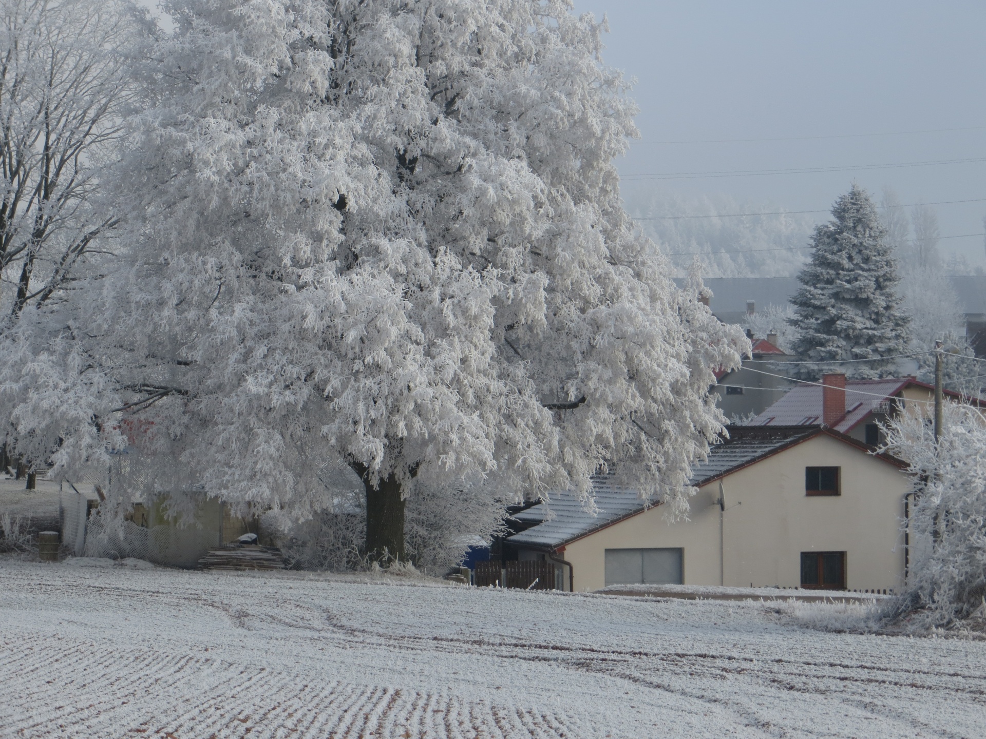 winter frost house free photo