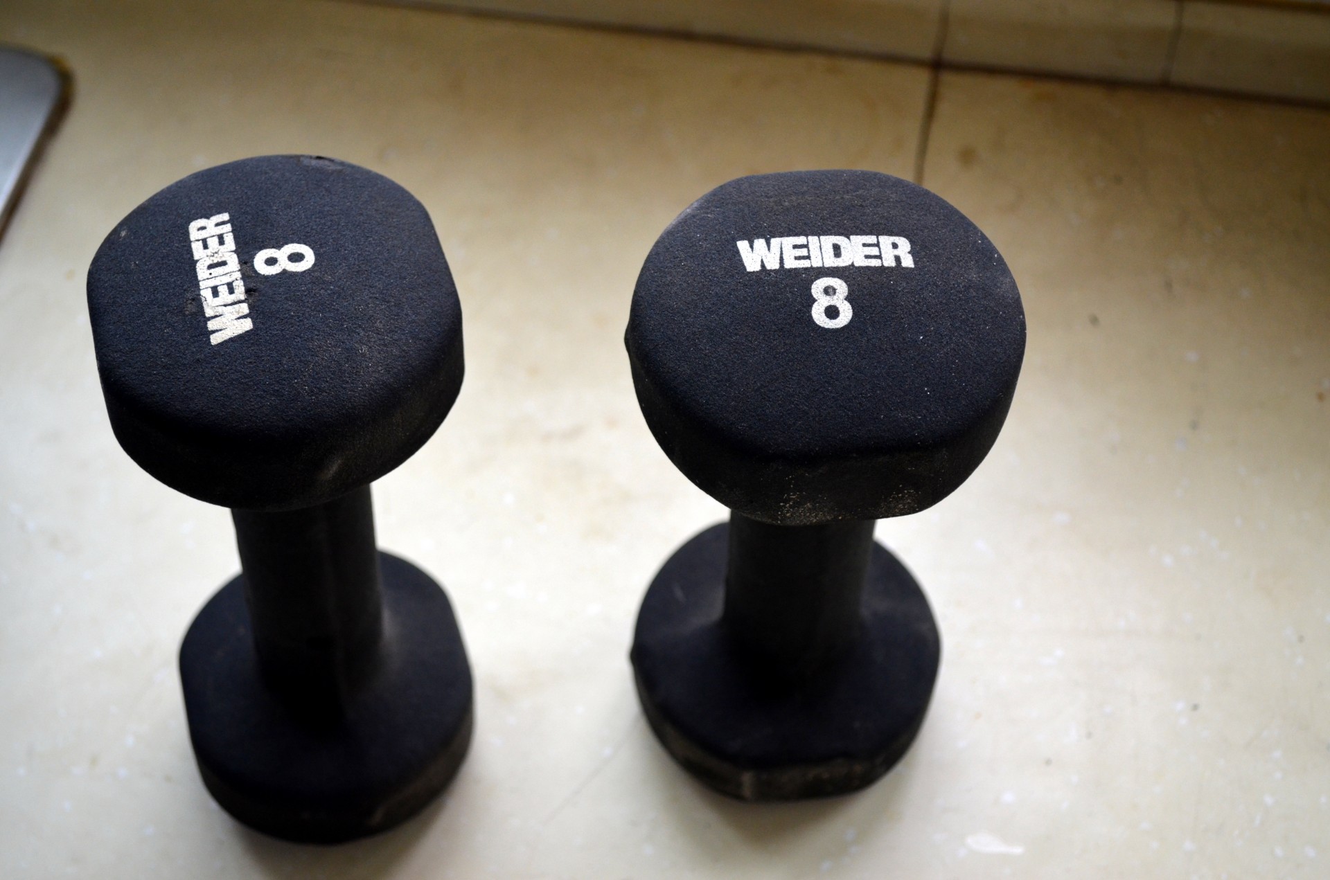 dumb bell weights free weights free photo