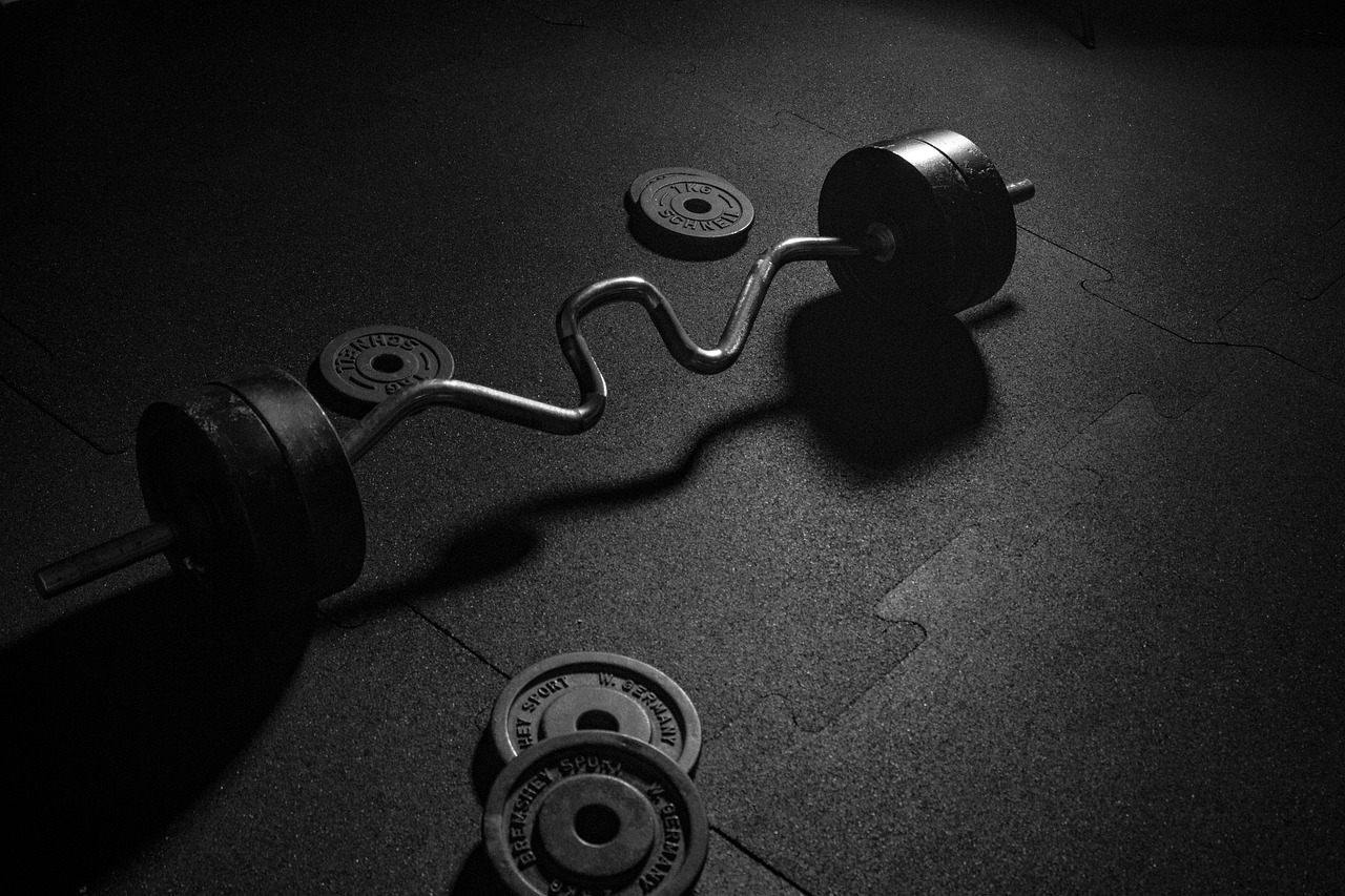 dumbbell sport weights free photo