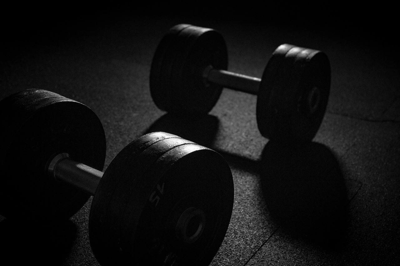 dumbbell sport weights free photo