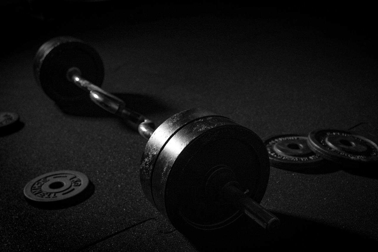 dumbbell sport weights free photo