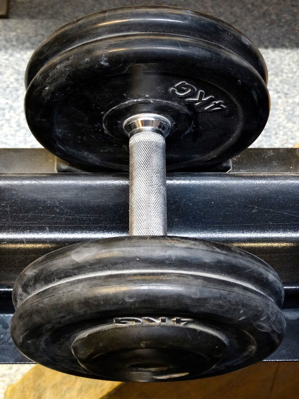 dumbbell fitness weight free photo
