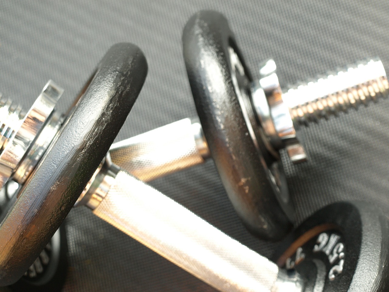dumbbell pair dumbbells weight plates free photo