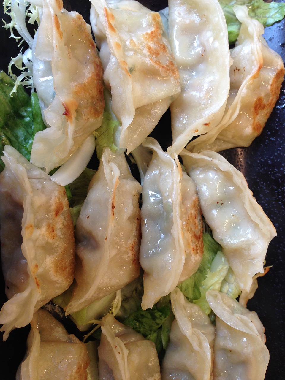 dumpling eat chinese free photo
