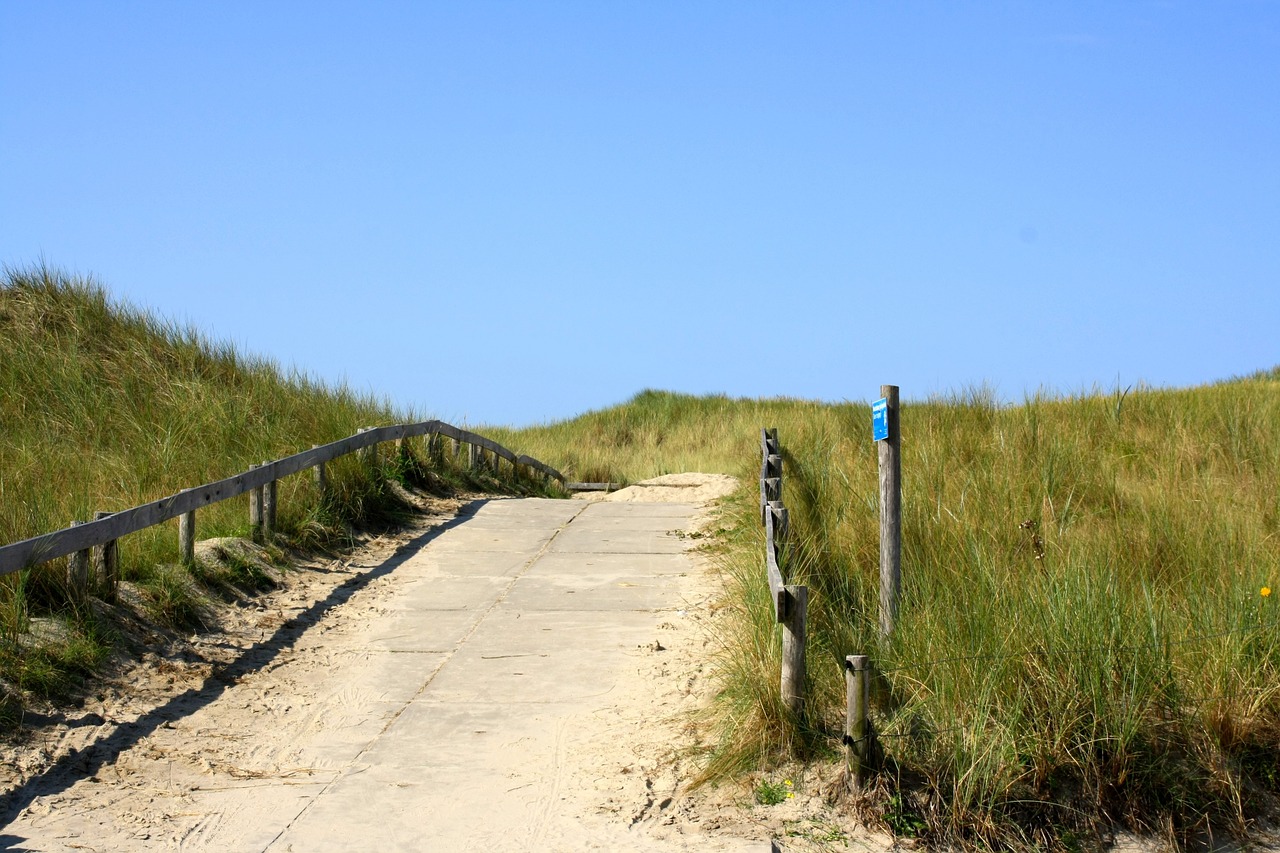 dune beach north sea free photo