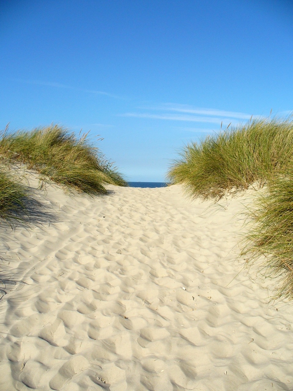 dune holiday beach free photo
