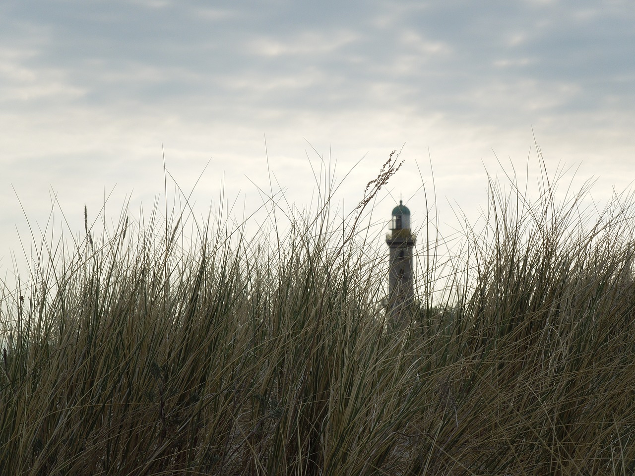 dune beach baltic sea free photo