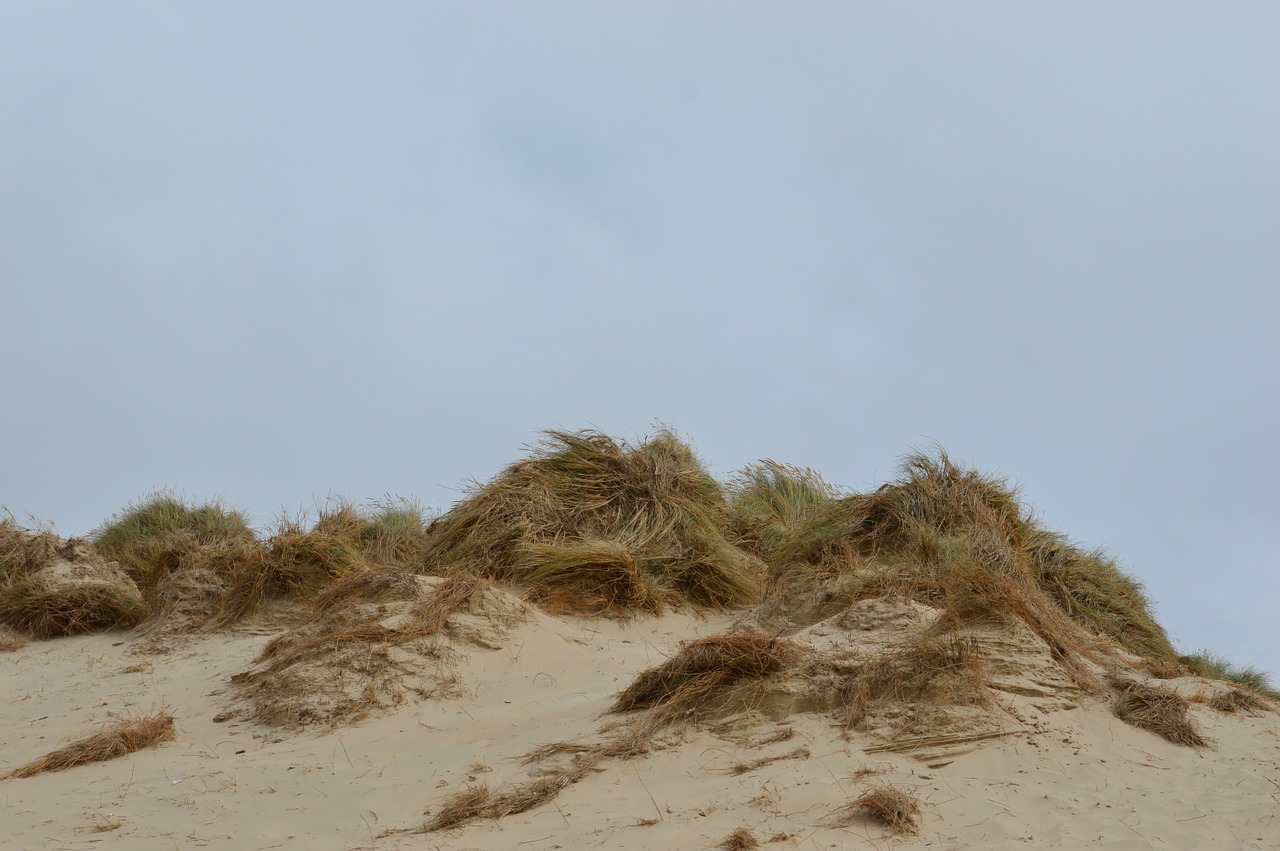 dune sand blue sky free photo