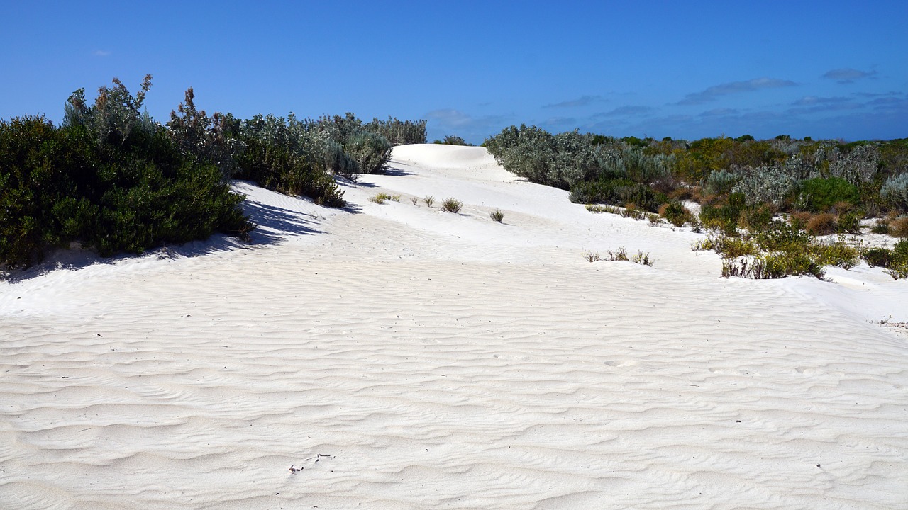 dune australia quartz sand free photo