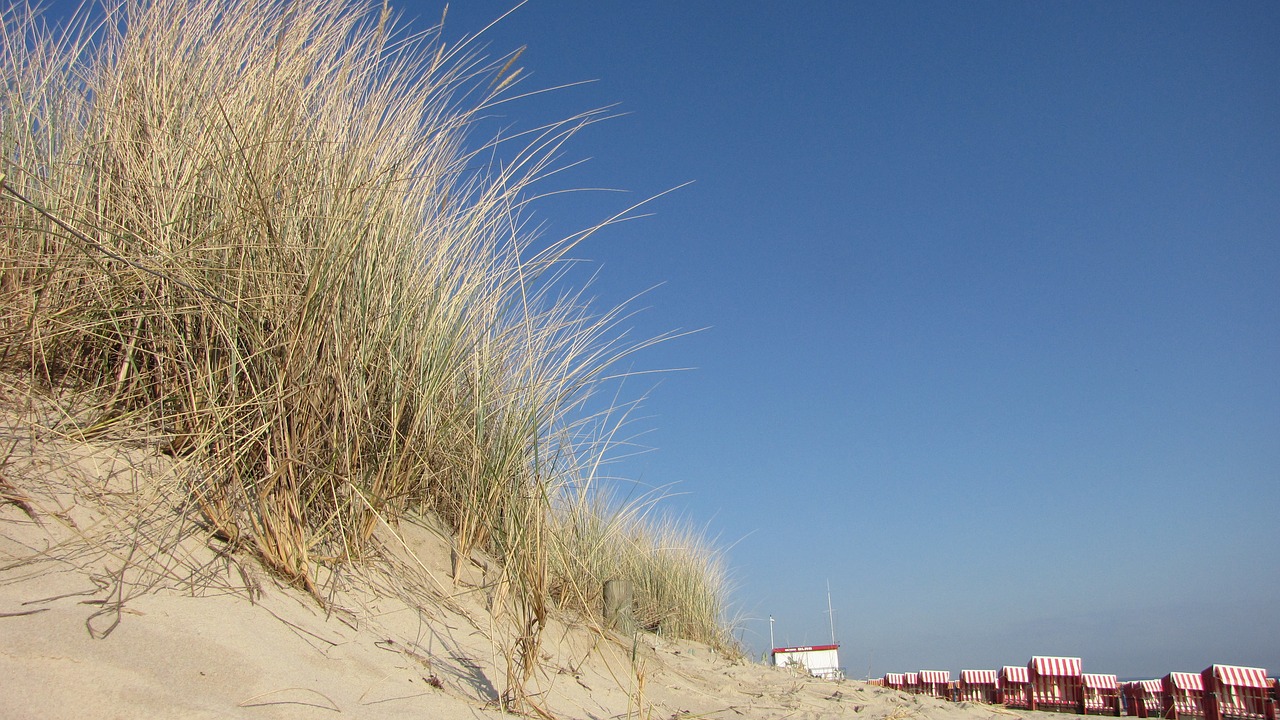 dune beach baltic sea free photo