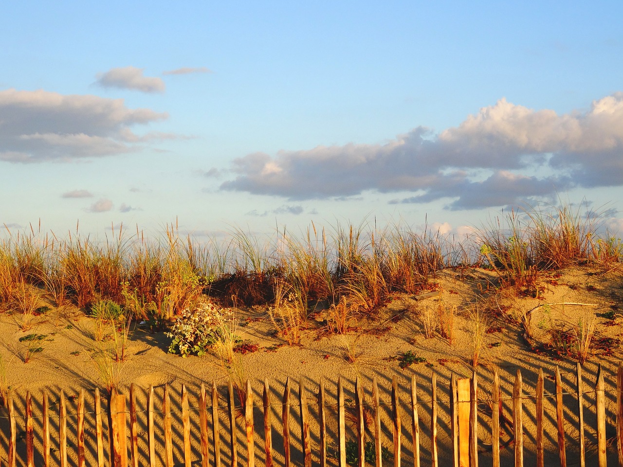 dune beach sand free photo