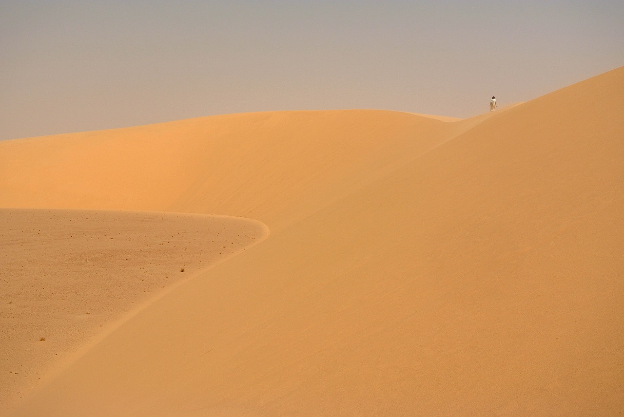 dune sahara desert free photo