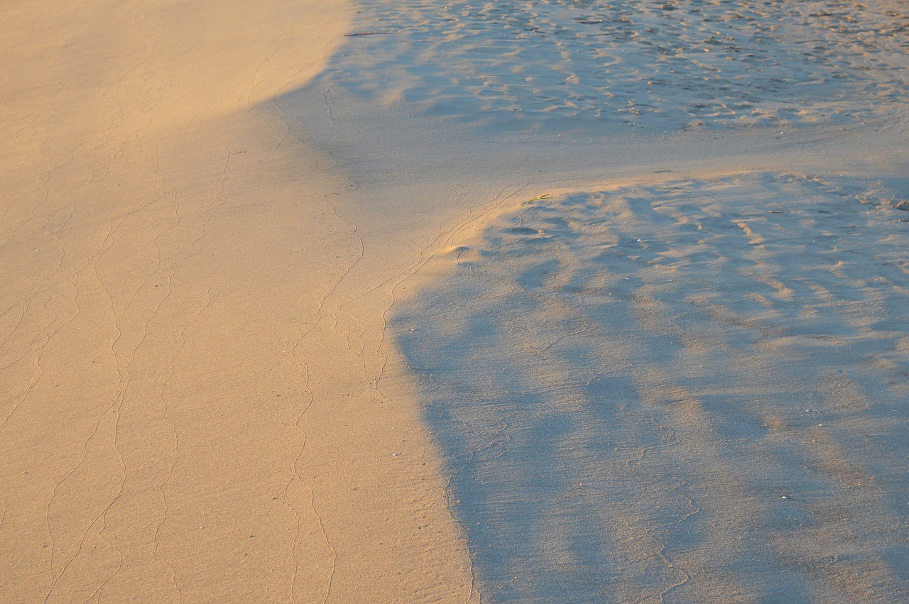 dune sand sand dunes free photo