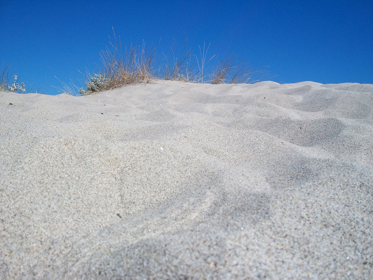 dune sand sea free photo