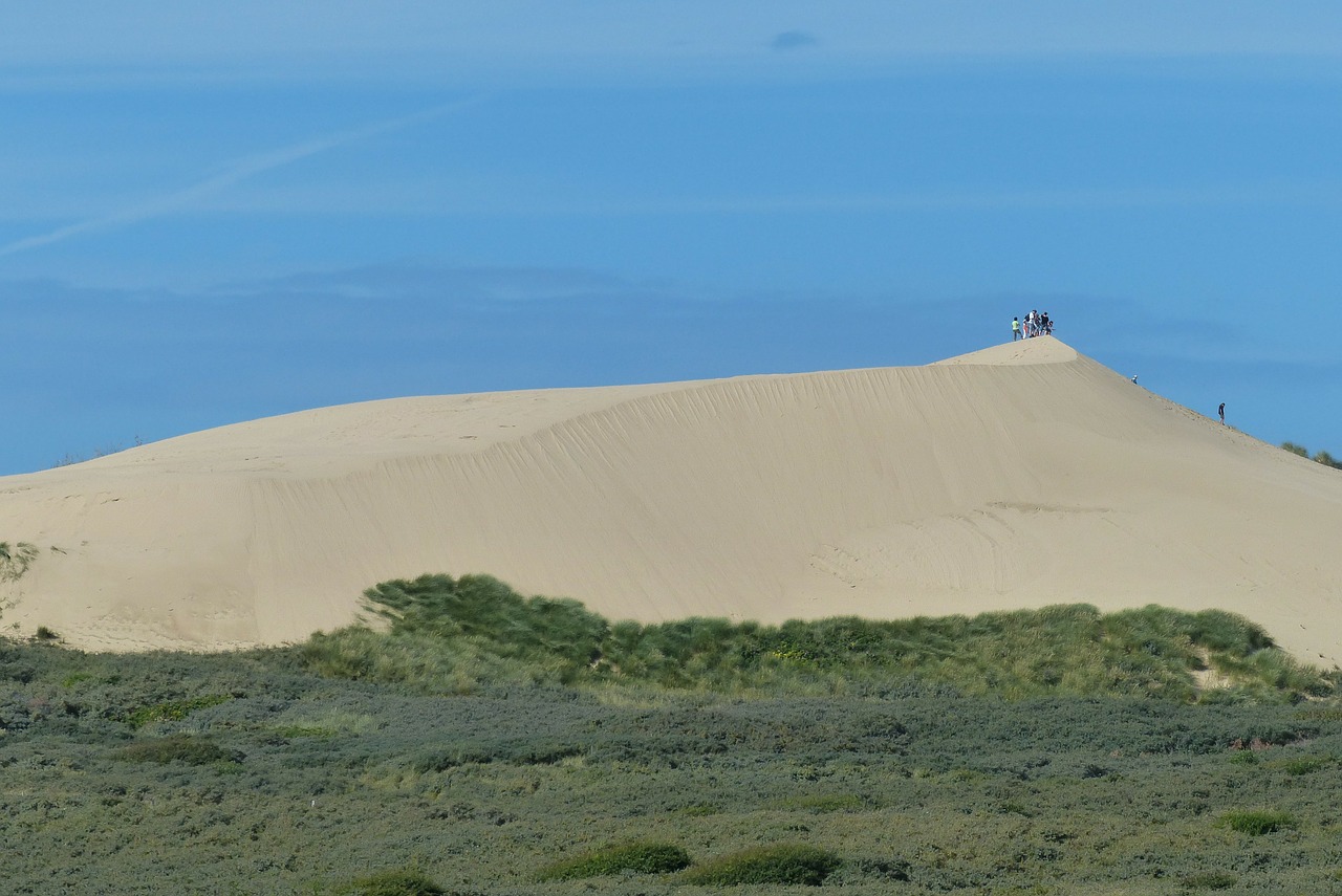 dune sand dunes free photo