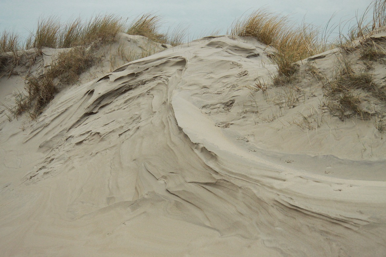 dune sand sea free photo