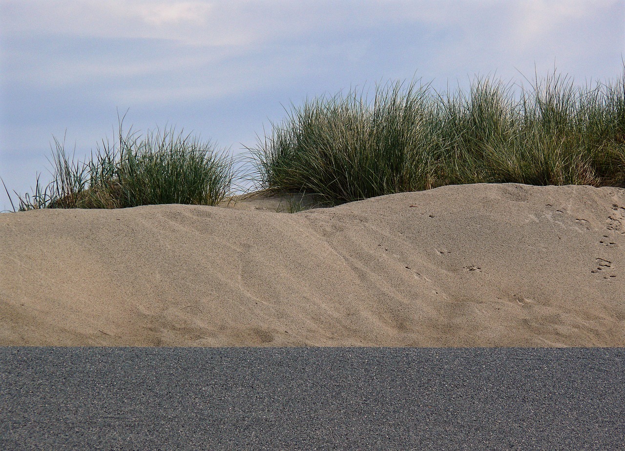 dune beach north sea free photo