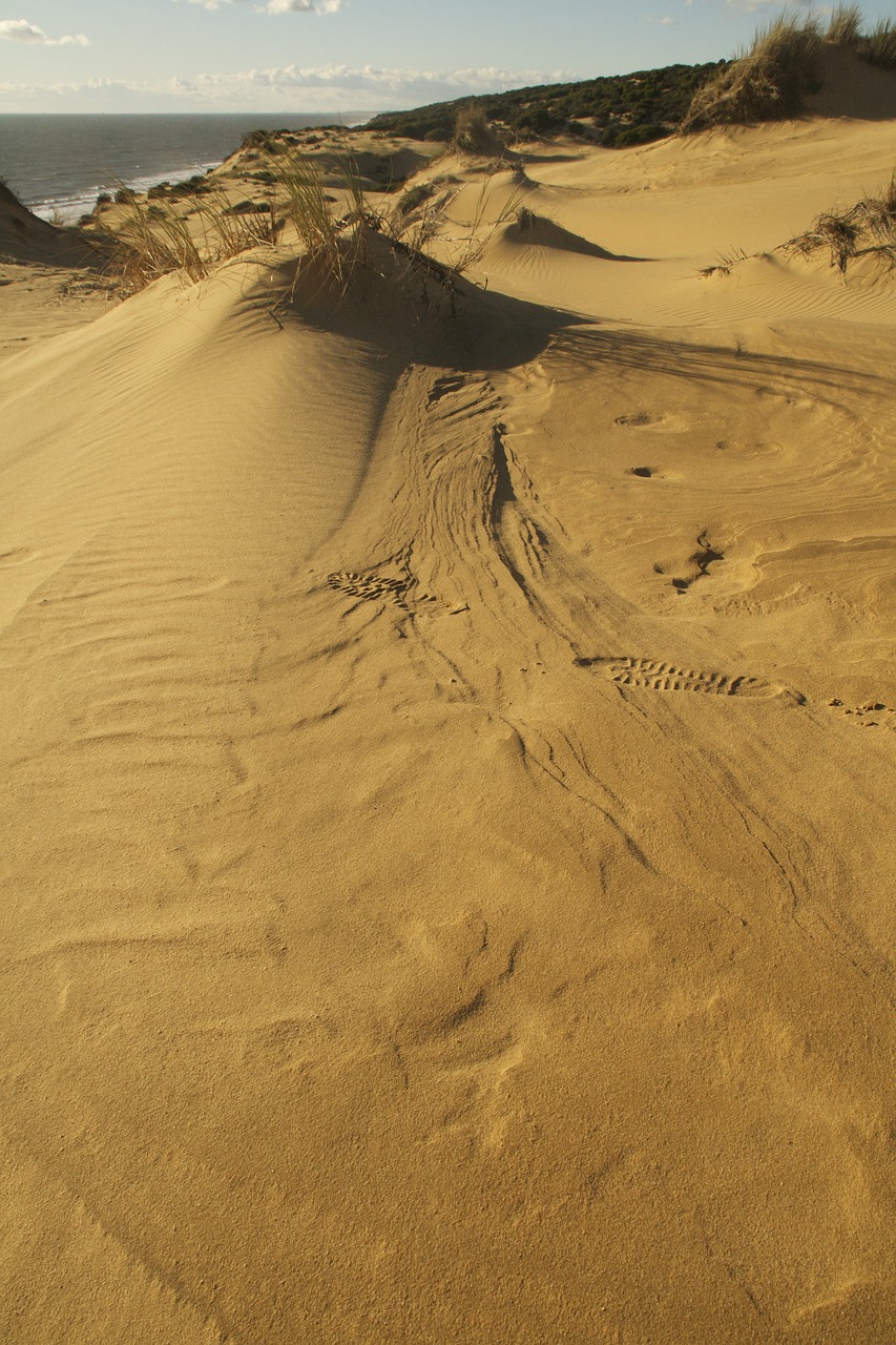 dune sand landscape free photo