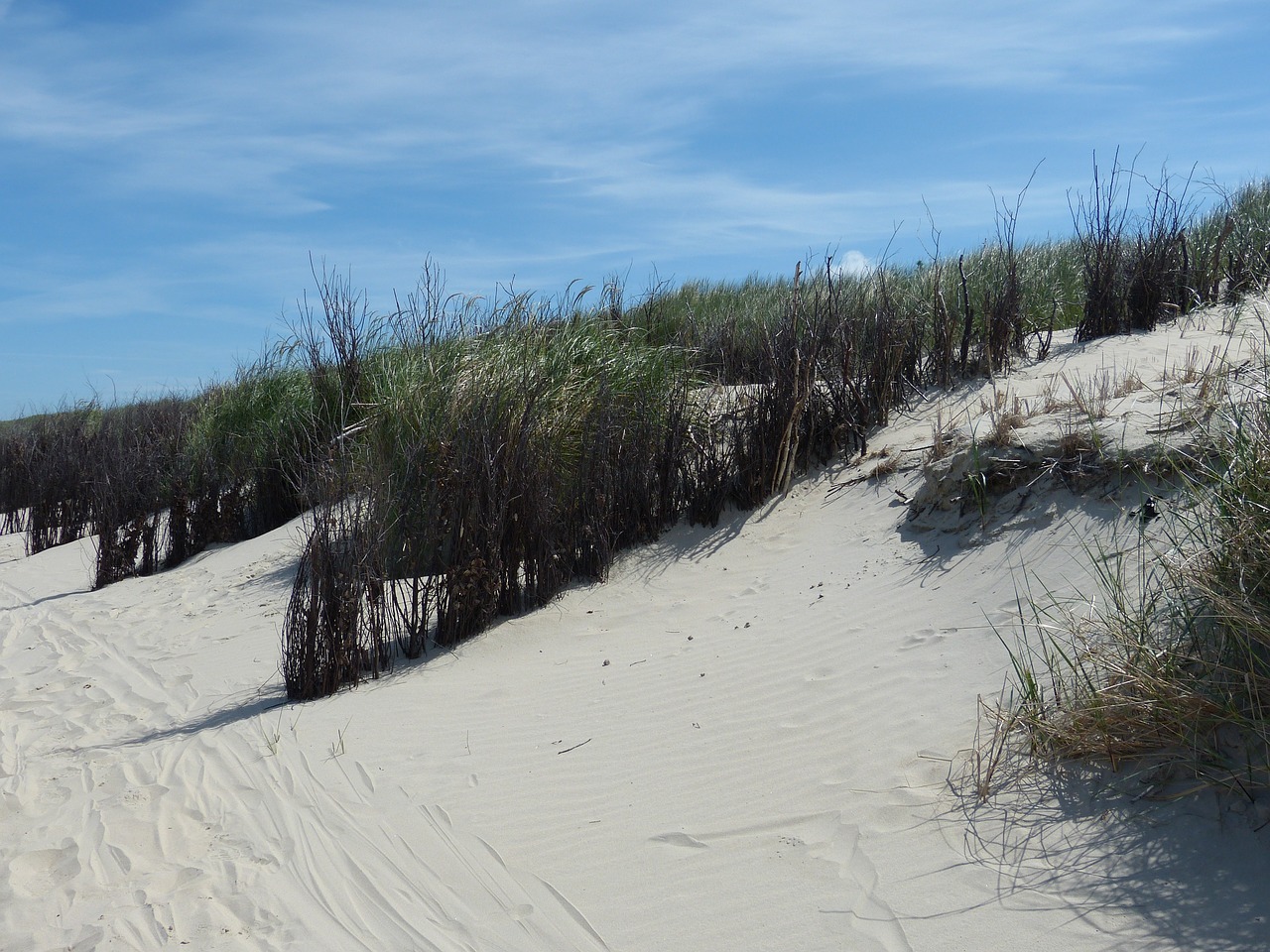 dune sand beach free photo